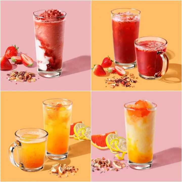 大阪梅田 Starbucks Coffee LUCUA 茶主題星巴克2