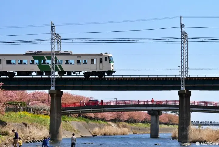 【靜岡】感受山與海之美！伊豆急行線絕美攝影地點5選