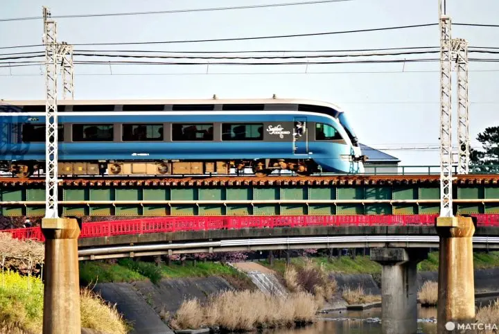 【靜岡】感受山與海之美！伊豆急行線絕美攝影地點5選