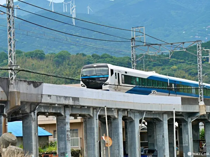 【靜岡】感受山與海之美！伊豆急行線絕美攝影地點5選