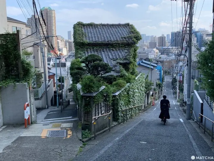 你不好奇乃木坂名稱由來嗎？漫步10條東京美景日劇坂道