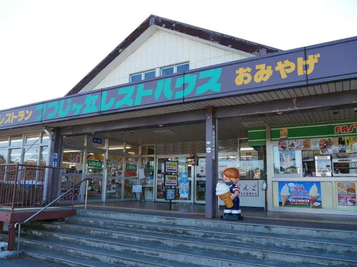 【東京近郊】體驗東京東側的澀谷「錦糸町」，走訪關東富士「筑波山」