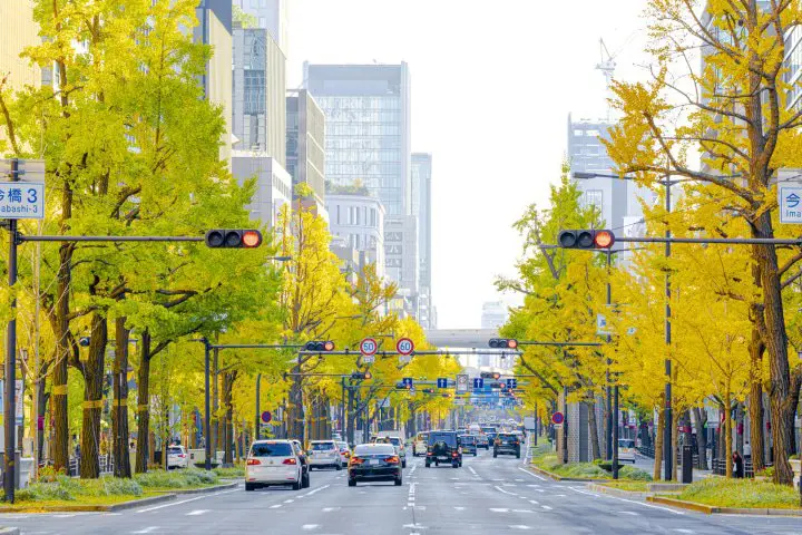 【2018】Top 10 địa điểm ngắm lá đỏ ở Osaka ~ Công viên Mino, Lâu đài Osaka, Công viên Daisen và những nơi khác ~ 