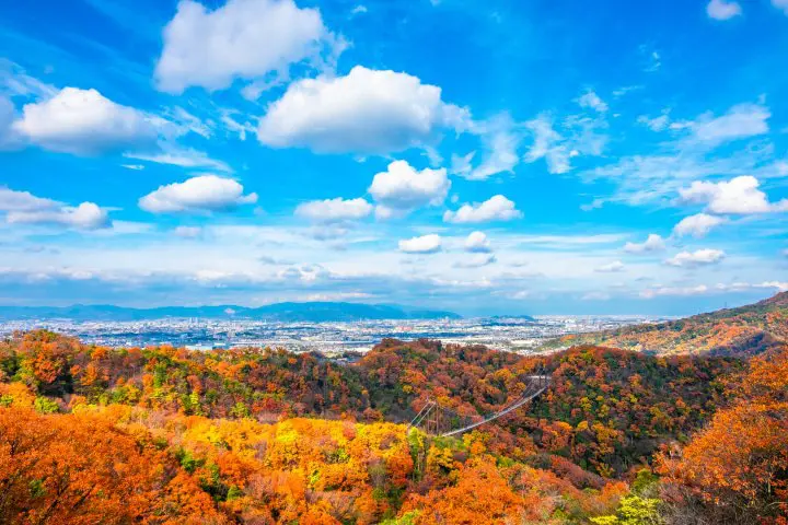 【2018】Top 10 địa điểm ngắm lá đỏ ở Osaka ~ Công viên Mino, Lâu đài Osaka, Công viên Daisen và những nơi khác ~ 