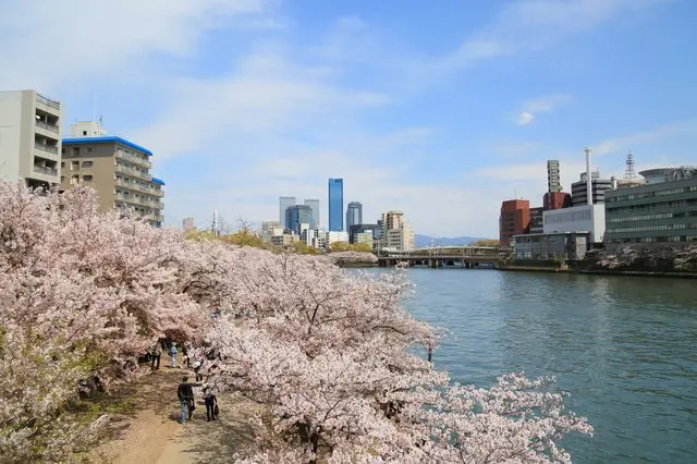これぞ日本の桜風景！関西地方のお花見スポット10選【2022年版】
