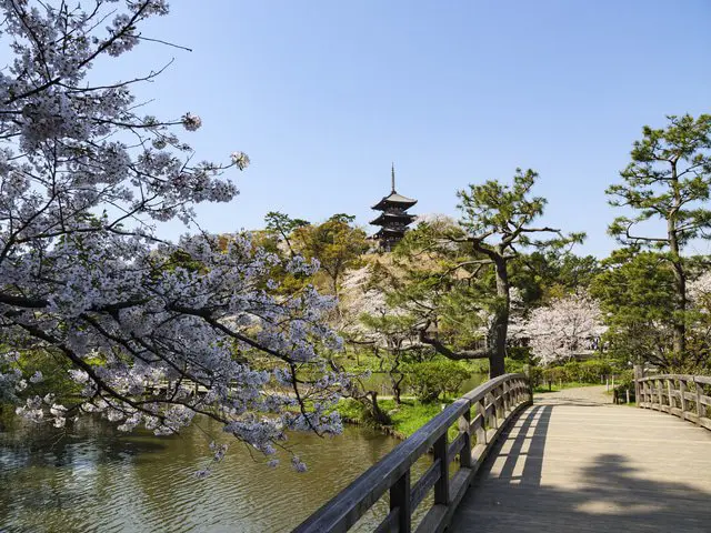 富士山、温泉、城と見よう！関東近郊のお花見スポット7選【2022年版】