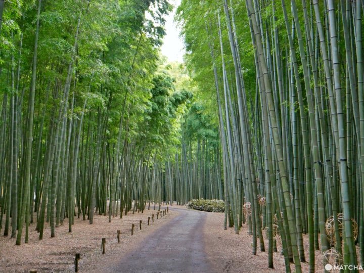 若山農場