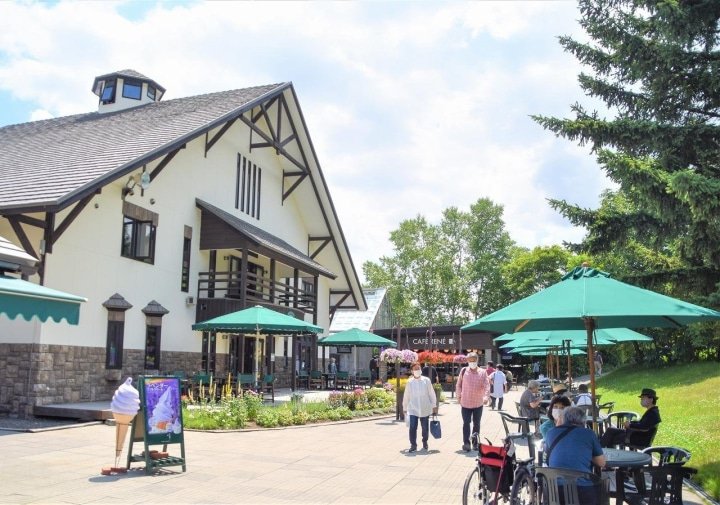 Hokkaido’s Lavender Fields: Farm Tomita Highlights, Sweets, and Tips