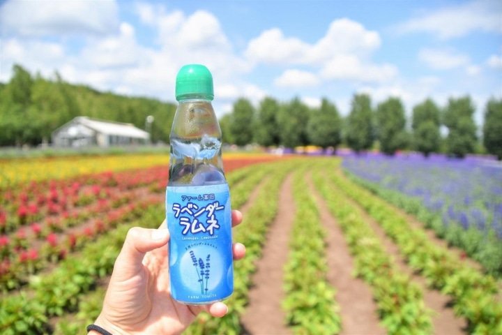 Hokkaido’s Lavender Fields: Farm Tomita Highlights, Sweets, and Tips