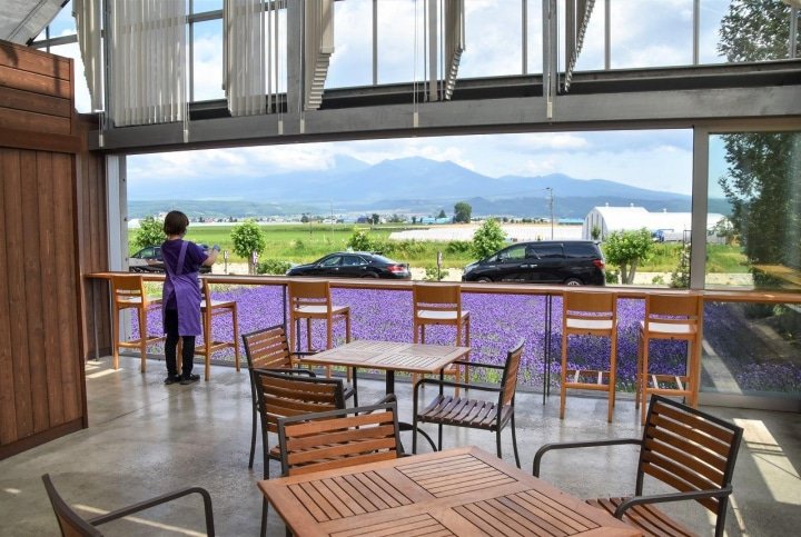 Hokkaido’s Lavender Fields: Farm Tomita Highlights, Sweets, and Tips