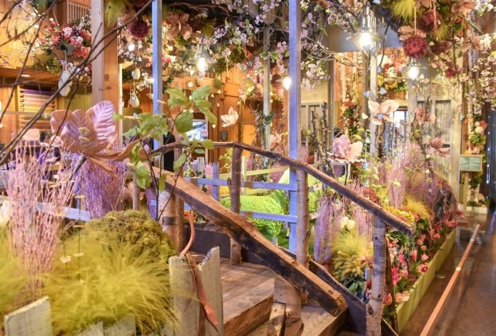 Hokkaido’s Lavender Fields: Farm Tomita Highlights, Sweets, and Tips