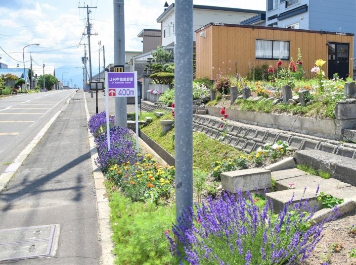Hokkaido’s Lavender Fields: Farm Tomita Highlights, Sweets, and Tips