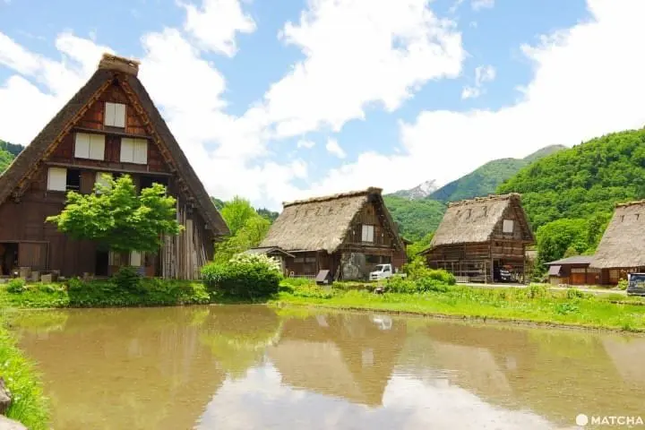 <ruby>合掌<rt>がっしょう</rt></ruby><ruby>造<rt>づく</rt></ruby>りの　<ruby>茅<rt>かや</rt></ruby><ruby>葺<rt>ぶ</rt></ruby>き<ruby>屋根<rt>やね</rt></ruby>を　<ruby>見<rt>み</rt></ruby>ることが　できる　<ruby>世界遺産<rt>せかいいさん</rt></ruby>(World Heritage)・<ruby>白川郷<rt>しらかわごう</rt></ruby>