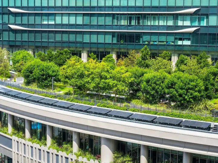 11 Budget-Friendly Shopping Spots In Osaka