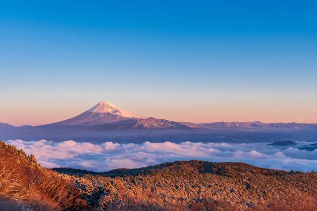 知る人ぞ知る絶景スポット。「だるま山高原レストハウス」から富士山を望む