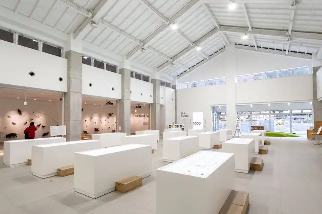 【高尾山】米其林等級登山一日遊｜不是只有紅葉的自然魅力