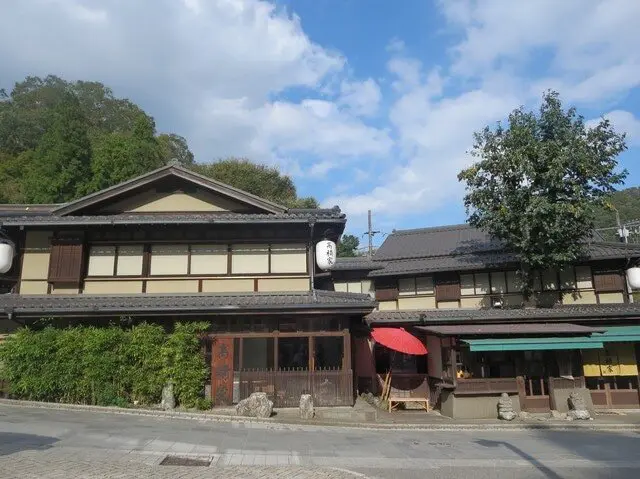 【高尾山】米其林等級登山一日遊｜不是只有紅葉的自然魅力