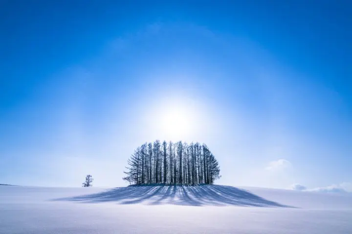 【日本の冬】12月～2月の天気や観光できるもの、適した服装