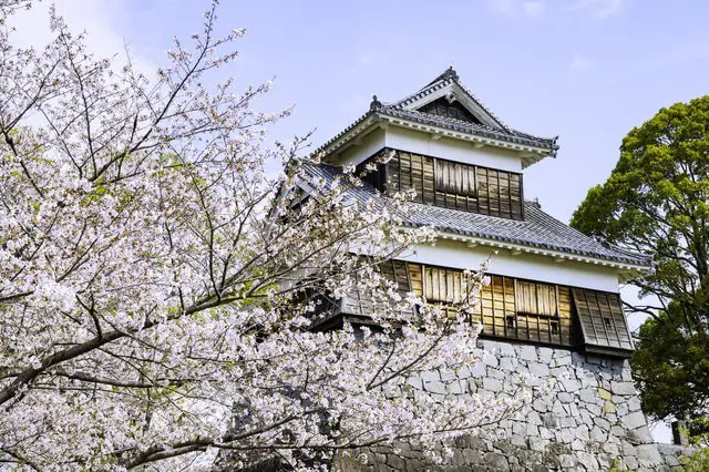 大自然と桜の絶景にうっとり。九州地方の桜の名所10選