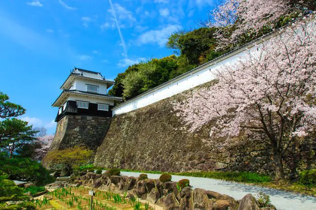 大自然と桜の絶景にうっとり。九州地方の桜の名所10選