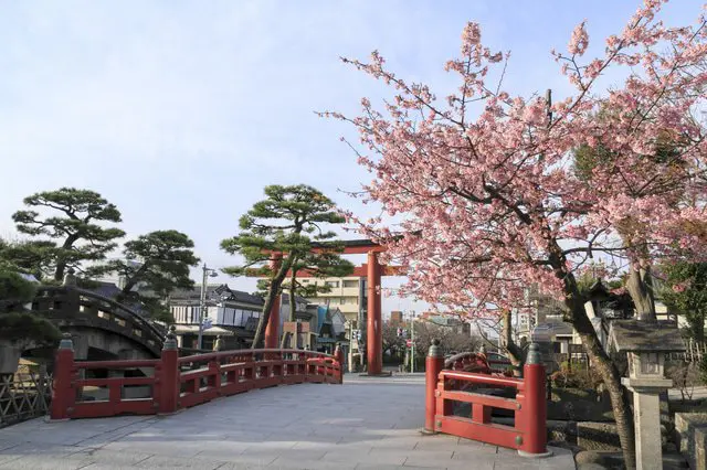 7 Great Cherry Blossom Spots Near Tokyo In 2021