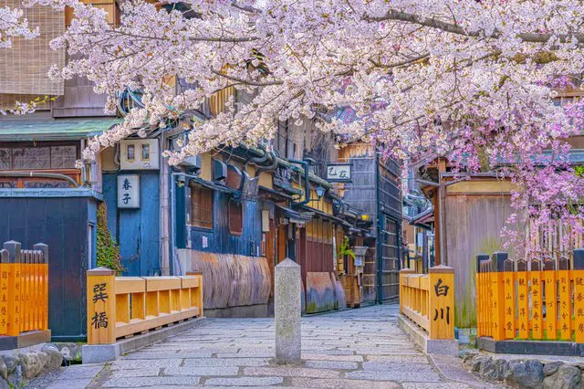 Musim Semi di Jepang: Waktu Mekar Sakura, Informasi Iklim, dan Fesyen