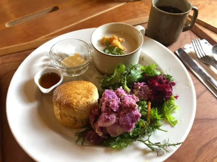 京都冬⽇Cafe提案 キコリ⾕テラス、囲座夢、INE CAFE、Café du pin 千歳