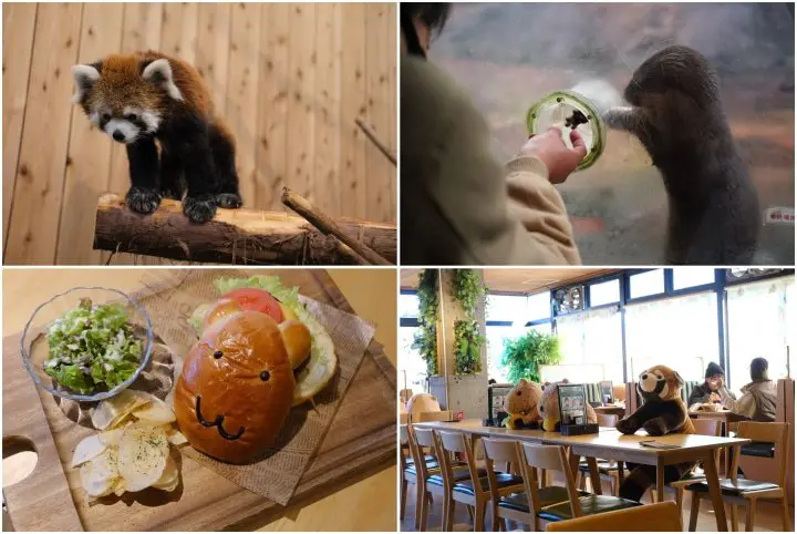 Unseen Ito - เที่ยวเมืองอิโต้แบบ 360 องศากับคาปิบาระผู้น่ารักและวิวฟูจิลับๆ ที่คนยังไม่ค่อยรู้จัก【One Day Trip】