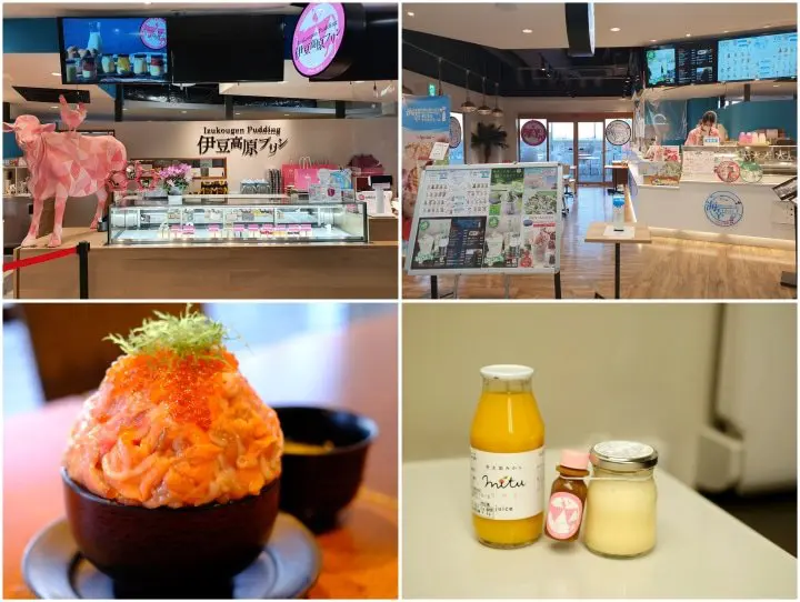 Unseen Ito - เที่ยวเมืองอิโต้แบบ 360 องศากับคาปิบาระผู้น่ารักและวิวฟูจิลับๆ ที่คนยังไม่ค่อยรู้จัก【One Day Trip】