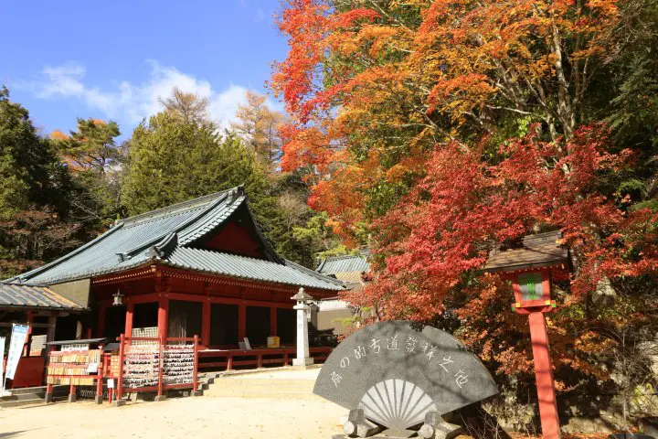 バスと　<ruby>電車<rt>でんしゃ</rt></ruby>　どっちが　<ruby>安<rt>やす</rt></ruby>い？　<ruby>東京<rt>とうきょう</rt></ruby>から　<ruby>日光<rt>にっこう</rt></ruby>への　<ruby>行<rt>い</rt></ruby>き<ruby>方<rt>かた</rt></ruby>