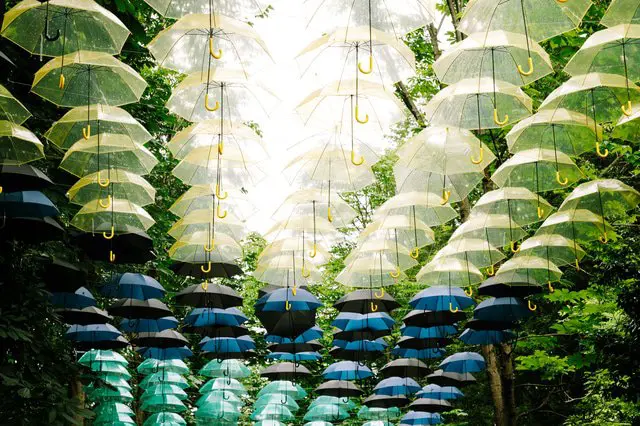 Rangkaian Acara di Jepang Selama Satu Tahun