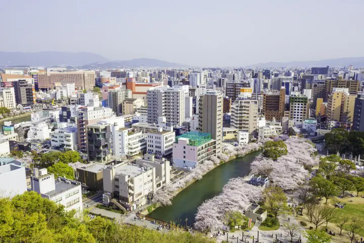 太宰府天満宮に屋台でラーメンを満喫。福岡市(博多)の観光名所10選(キャナルシティ博多、大濠公園、志賀島ほか)