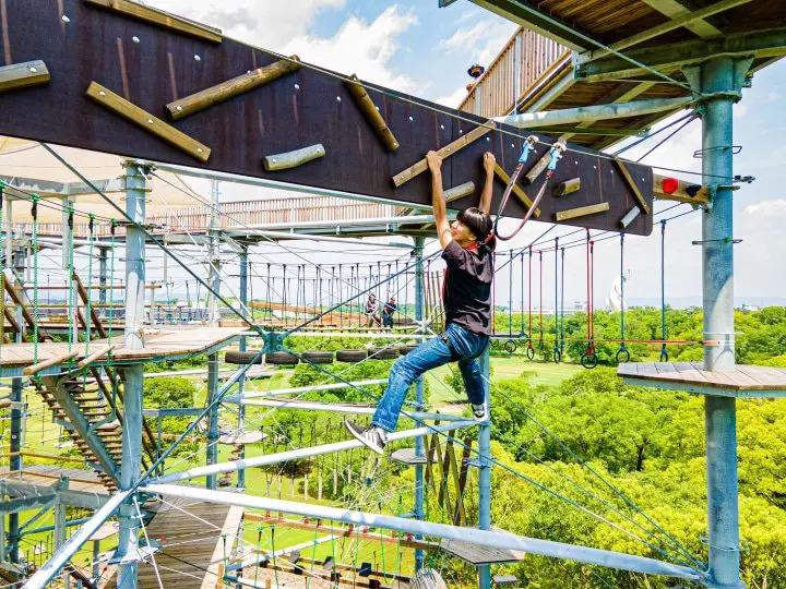 シー・ドラグーン