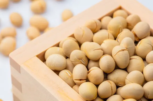 【日本小百科】「節分・豆打鬼」