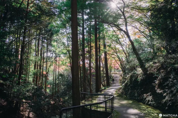 自然豊かな京都・神護寺。名物のかわらけ投げと美味しい食事