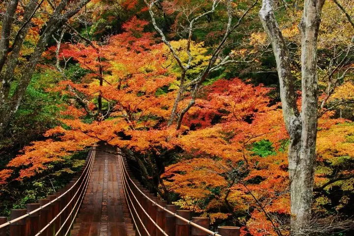 Hananuki Gorge