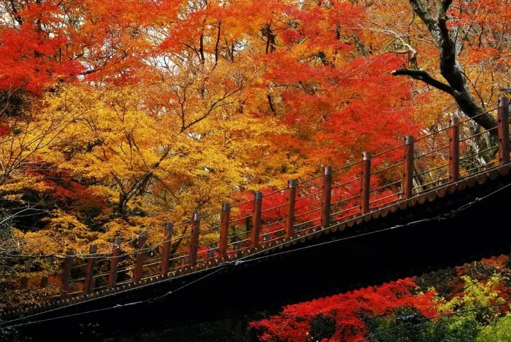 Hananuki Gorge Fall Foliage