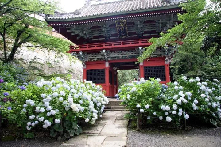 Amabiki Kannon