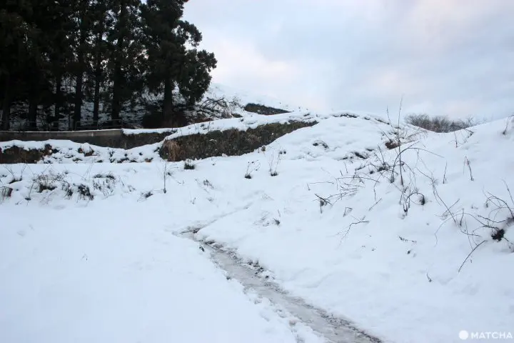 入住雪白童話村落！富山五箇山傳統合掌屋民宿「勇助」