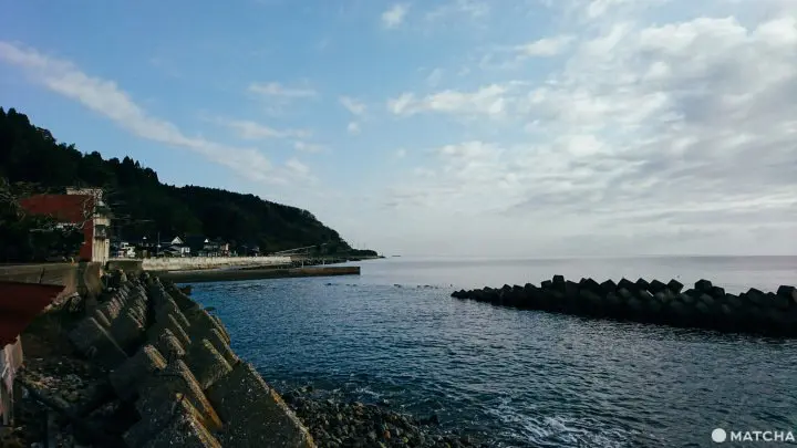 【富山】老饕特地想去住一晚的海景小旅館「はしもと屋」