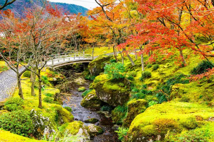 Top 5 Spots to Enjoy the Fall Foliage in Hakone