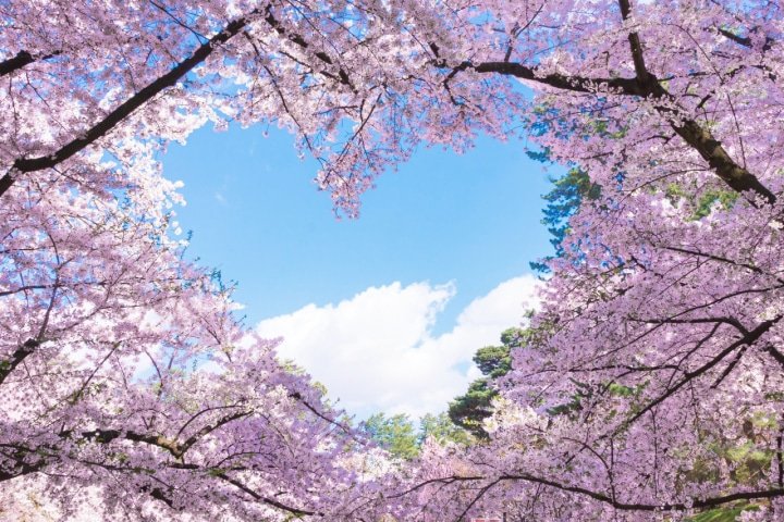 弘前公園