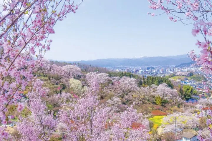 Hanamiyama Park
