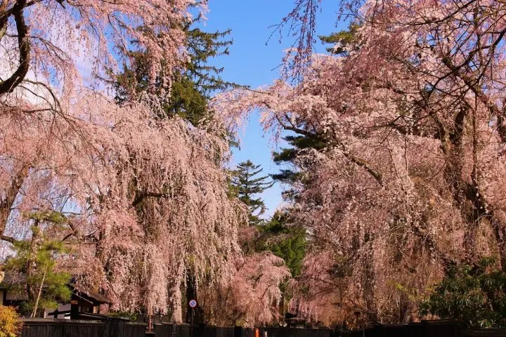 Kakunodate