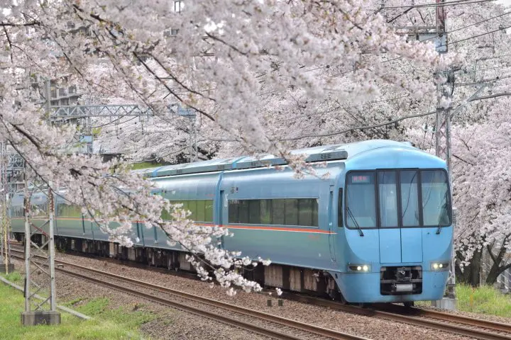 Hakone Day Trip: Visit Museums, Shrines, and Owakudani Valley