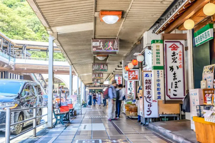 Hakone Day Trip: Visit Museums, Shrines, and Owakudani Valley