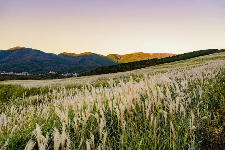 Hakone Day Trip: Visit Museums, Shrines, and Owakudani Valley