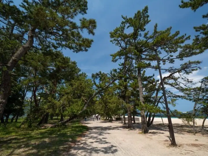 교토나 오사카의 마을에서 가는 일본 삼대 절경「아마노 하시다테」까지 가는 작은 여행!