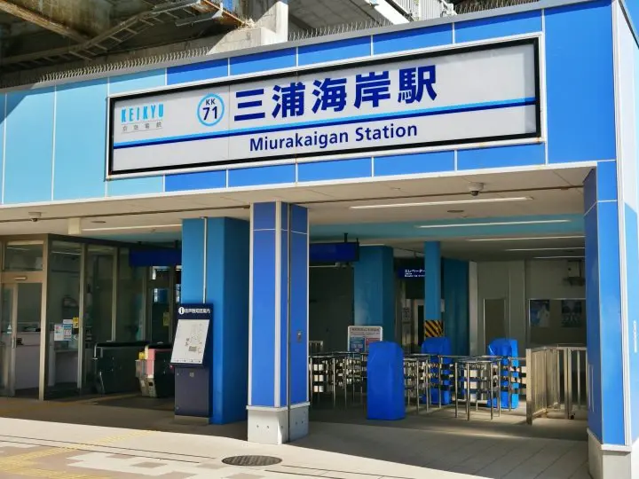 利用超值「Misaki Maguro Day Trip Ticket 」去三浦半島賞櫻吃鮪魚