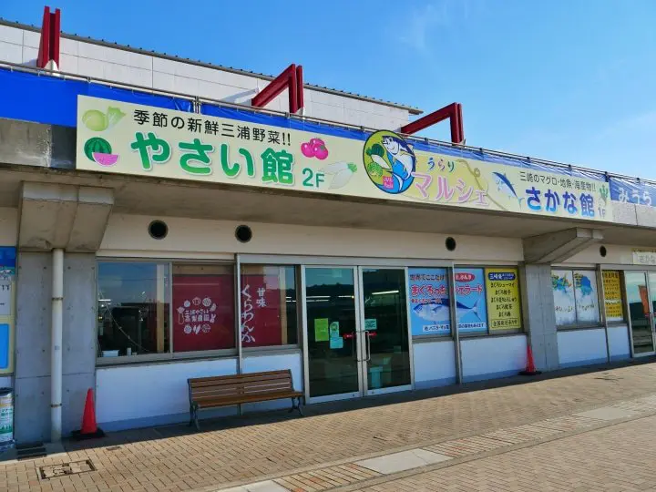 利用超值「Misaki Maguro Day Trip Ticket 」去三浦半島賞櫻吃鮪魚